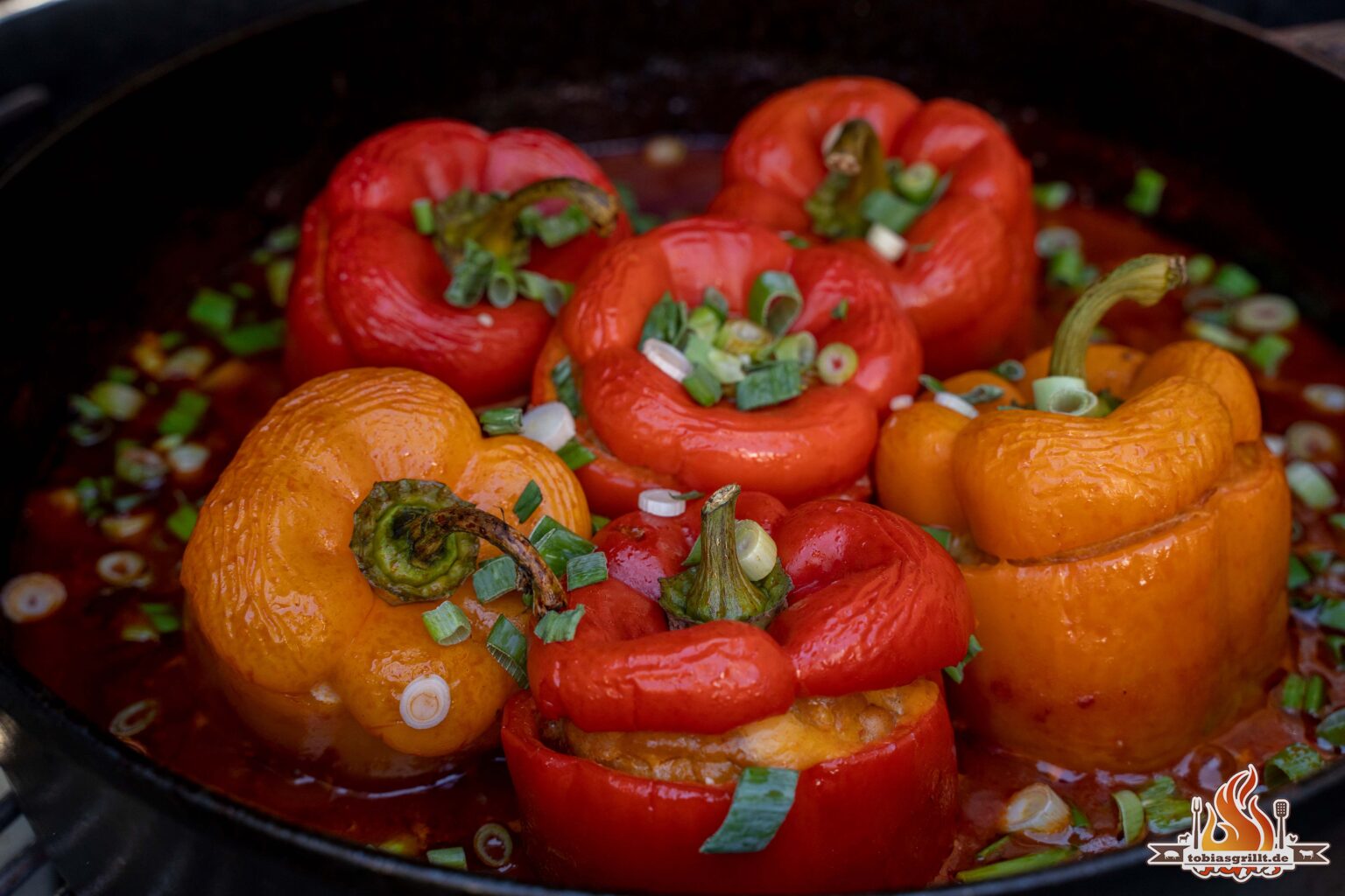 Dutch Oven tobiasgrillt.de